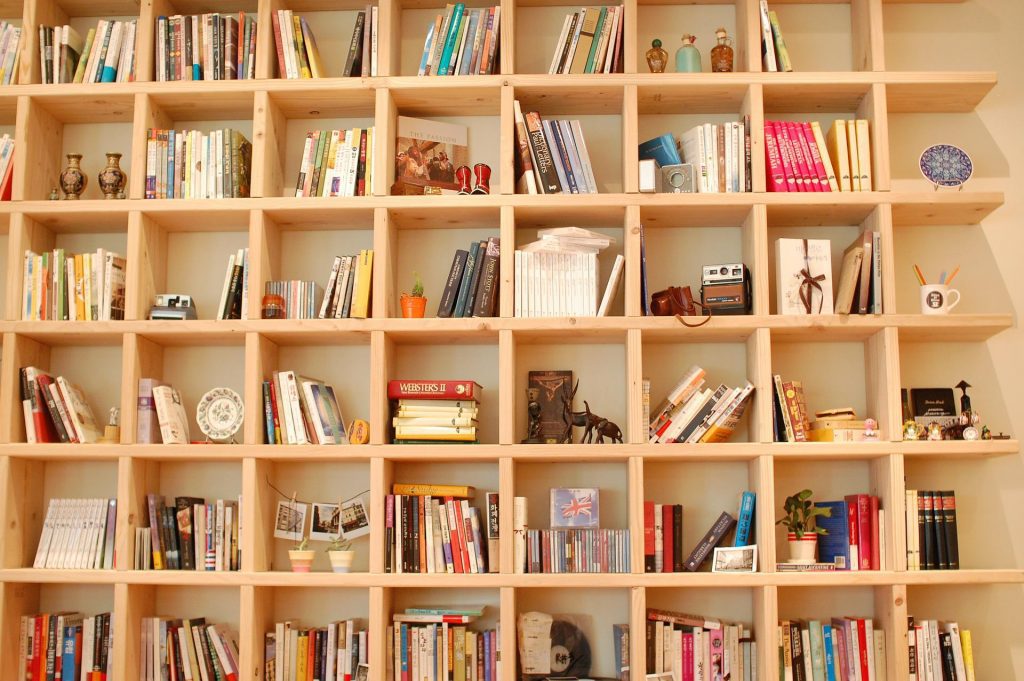 Bookshelves filled with books